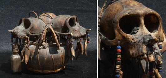 ritual object for necromancy with monkey skulls (Borneo - Dayak) around 1930