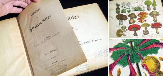 Old Plants-Atlas Book German 1875