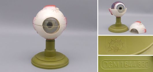 Altes SOMSO Augen Modell Zerlegbar West-Germany 1960er