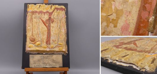 Antikes Anatomie-Modell der Haut Pappmach�, A. Pichlers Witwe Wien um 1900