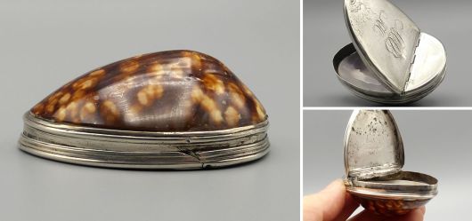Antike Kauri Muschel Schnupftabakdose Silber Georgianisch England um 1800