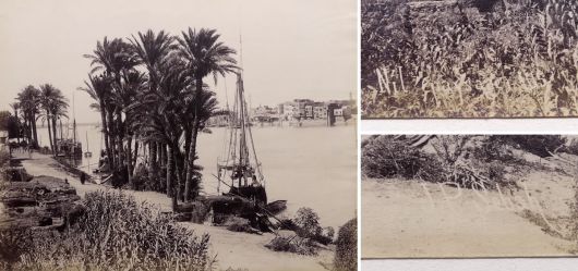 Albumin Foto, Nil-Ufer, Kairo �gypten, J P S�bah, Ende 19. Jahrhundert