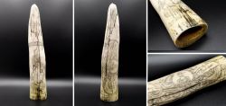 Scrimshaw - Fakeshaw