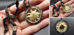 Pendant with real edelweiss