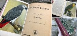 Die sprechenden Papageien um 1887