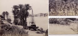 Albumin Foto, Nil-Ufer, Kairo �gypten, J P S�bah, Ende 19. Jahrhundert