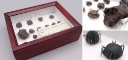 Antike Meteoriten Sammelbox, Henbury Eisenmeteorite und Tektite (Australit) aus Simpson Desert um 1980